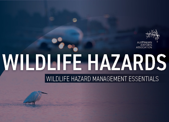 Members Lounge - Education Tiles3